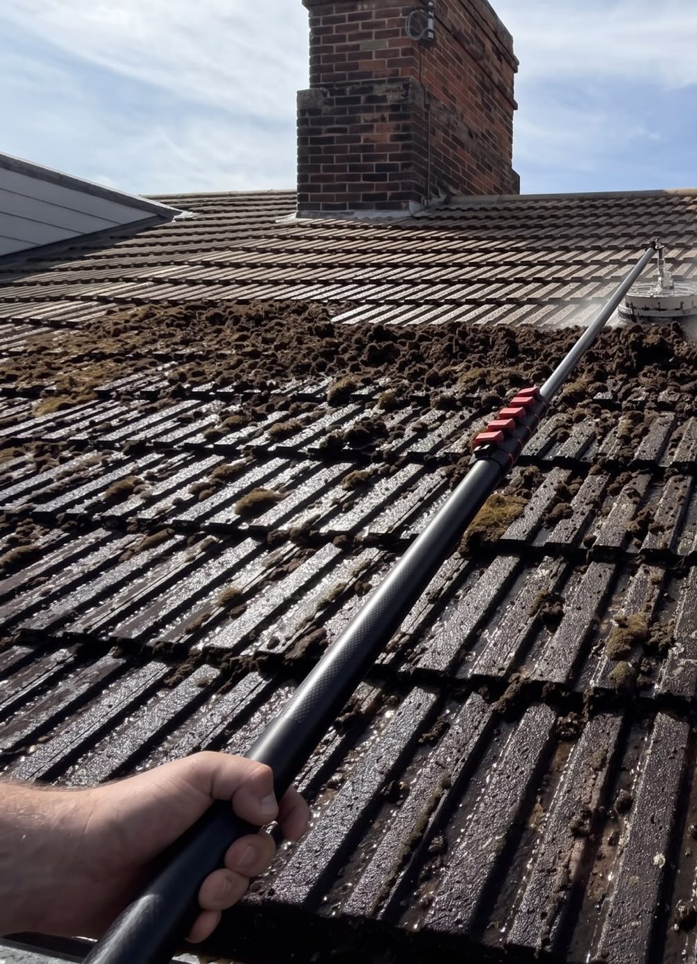 Mossy roof tiles before soft washing
